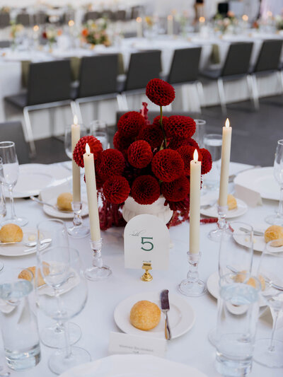 cleveland-art-museum-wedding-0082