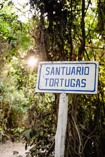 A_TurtleRelease_Teopa_KCifuentes_Feb2021-8479
