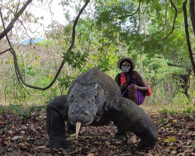 Komodo-Dragon-Indonesia-Passports-Palms-Travel