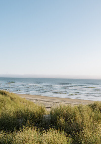 oregon coast quiet grassy coastline