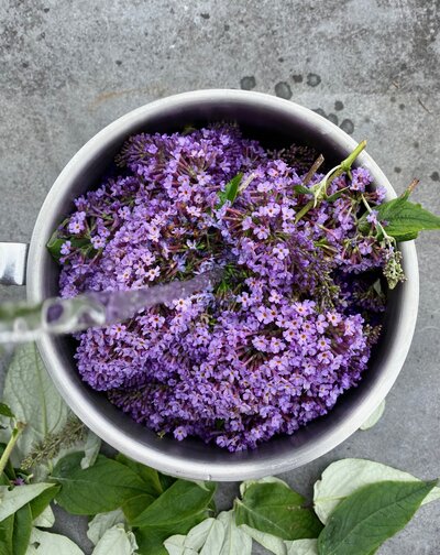 Learn how to naturally dye