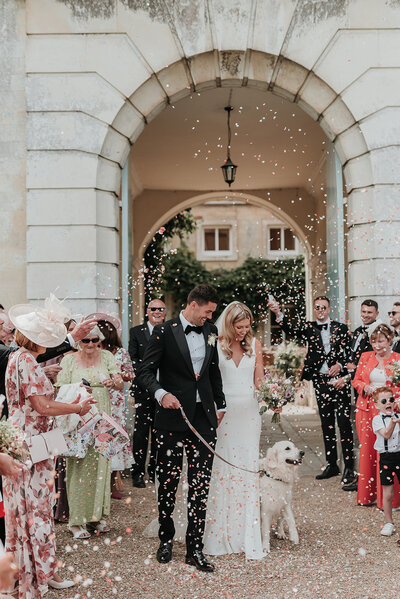 Bride and Groom walk down aisle of confetti with their golden retriever at Firle Place, Sussex