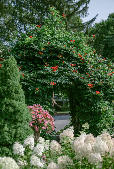 A flower garden at Greencrest Manor