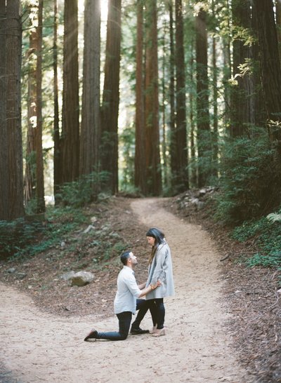 man kneeling proposing to woman in the Big Sur light shining through redwoods