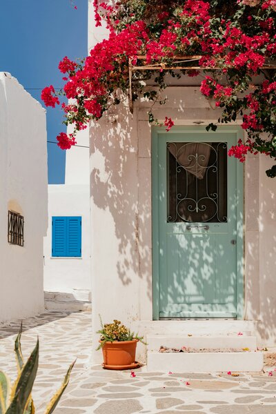 Greece door with bougainvillea 
