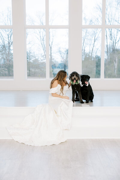 bride in white gown sits with two black dogs smiling