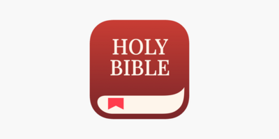 phone with Brick app that says This Is a Distraction