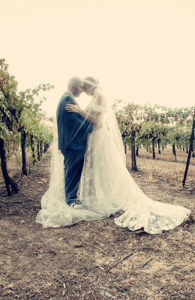 bride-and-groom-in-vineyards