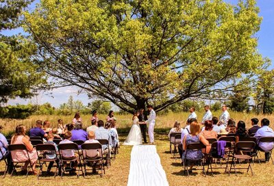 Wedding outdoors under the oak near Toledo, OH