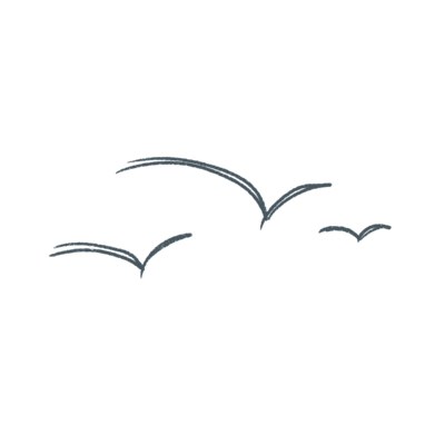 Illustration of three seagulls in a dark blue pencil-like texture
