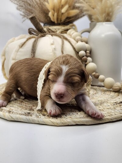 3b5f6896-2a86-4140-9f0b-1613b6e74064