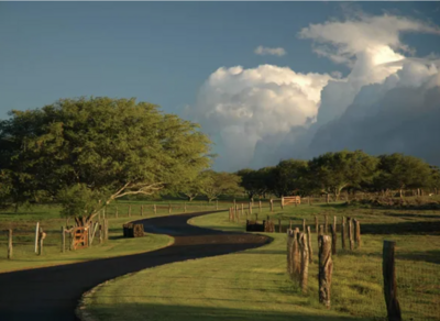 kahua ranch big island hawaii wedding venuebig-island-wedding-venues-5