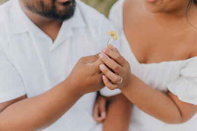 Couple holding flower together at discovery park