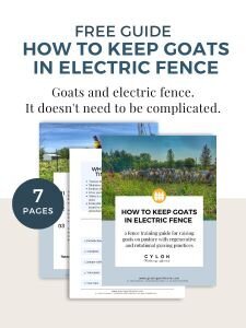 promotion for free electric fence training guide