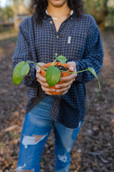 Houseplant Hippie Plant Empowerment30