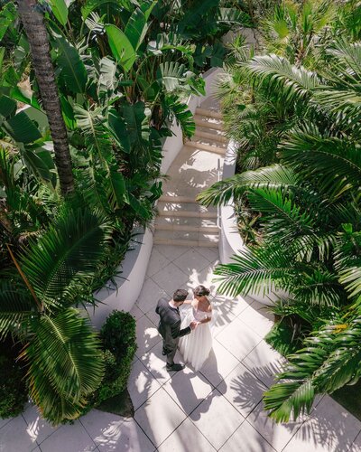 Destination wedding photographer looking over couple under palm trees