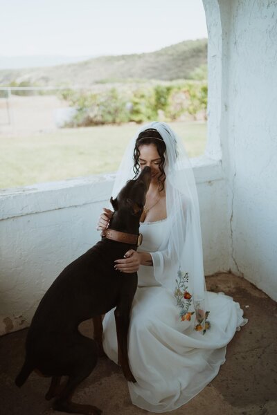 bride kissing her dog
