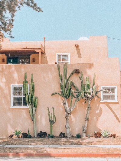 cacti in front of an adobe home for blogs socialfizz
