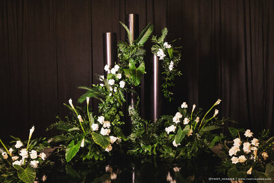 Black backdrop with white flowers and green foliage.
