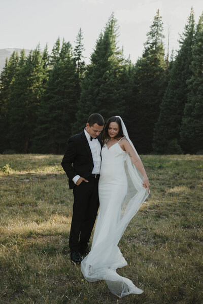 A couple elopes at Hoosier Pass in Breckenridge Colorado.