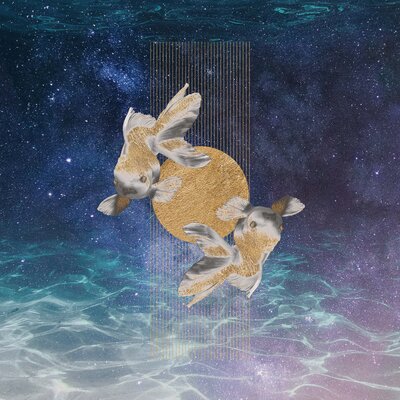 Pisces illustration of two fish on starry background