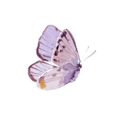 watercolor butterfly