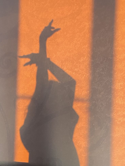 ombre-danse-femme-epanouissement