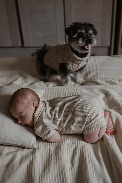 MindyVDBfotografie19-2