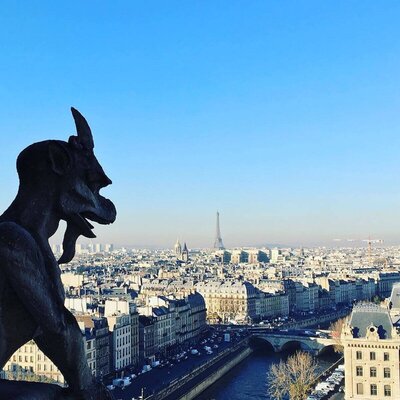 Gargoyle on a Paris roof-top