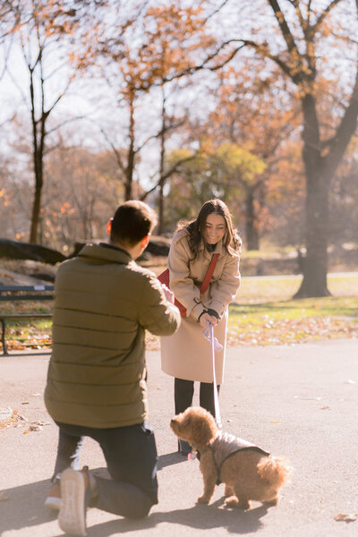 man down on one knee proposing to woman while dog is by mans side looking up at him