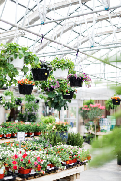 Stop by and visit Pete's Greenhouse in Amarillo, Texas! We are a Panhandle based gift shop and greenhouse offering a variety of unique plants from tropical to succulents, and passionately providing the feeling of home for 48 years.
