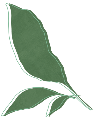 Leaf element