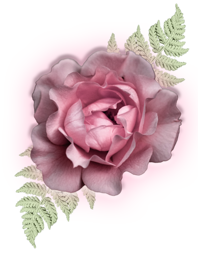 Glowing Pink Rose Representing Animal Communication Course
