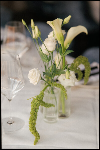 virginia wedding photos bridal shoes