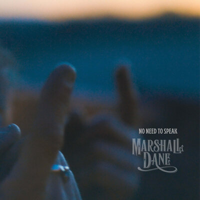 Single cover for No Need To Speak by Marshall Dane