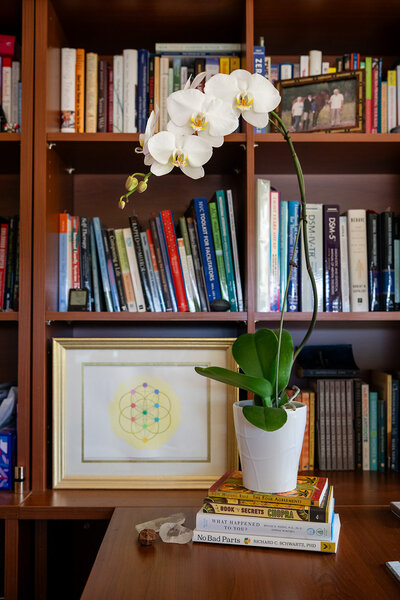 Orchid and bookshelf symbolizing growth, learning, and transformation in Audrie Meyer’s spiritual coaching sessions.