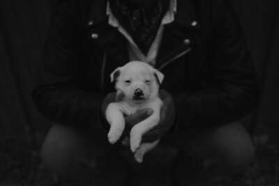 Groom in leather jackets holds a white puppy.