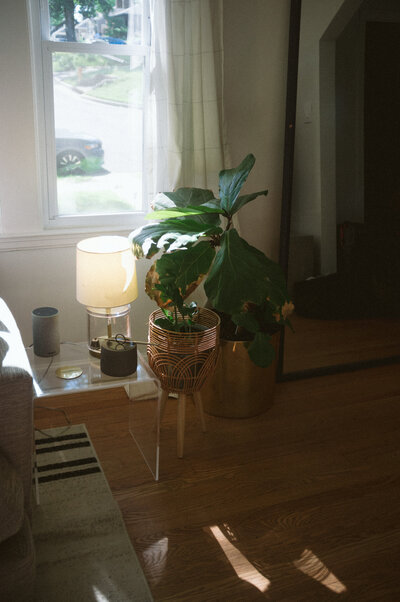 Spring time in home newborn photos - Isa Photo+Film63