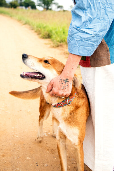 Dog getting pets from Sasha