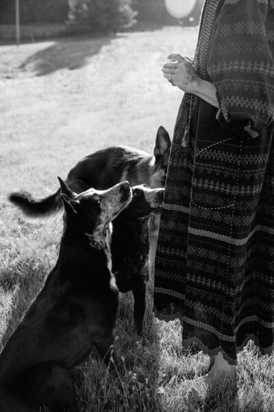 Sasha with group of dogs obeying commands in black and white