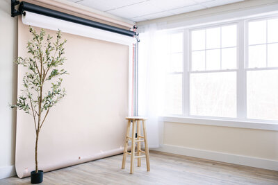 Pink Clover Studio Images 10