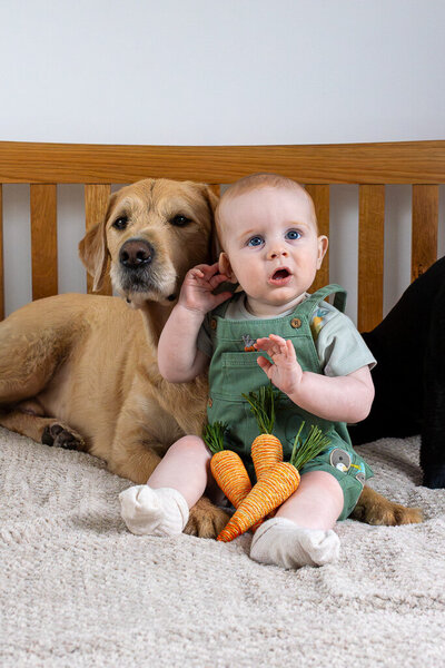 Toddler exploring toys with dog during lifestyle shoot captured by Nostalgia Photography