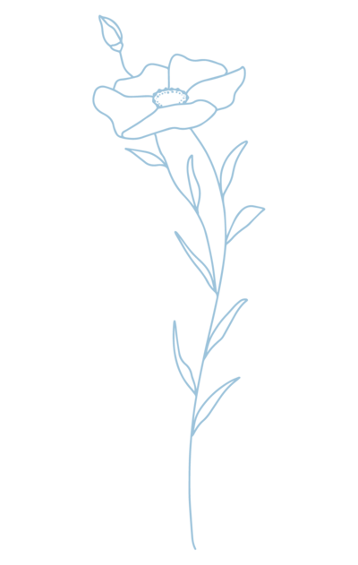 blue wildflower illustration