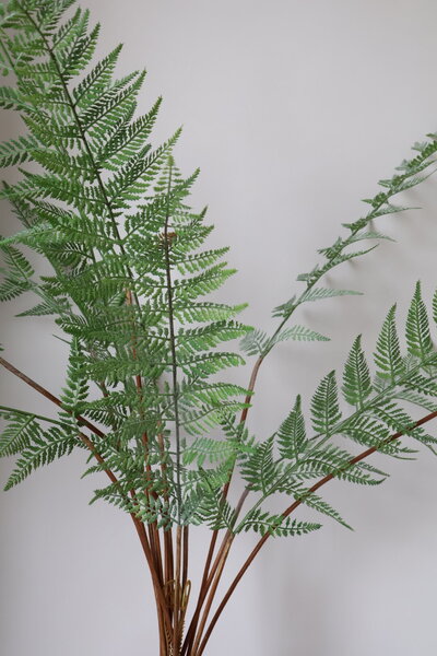 Bosvaren takken De Ontwerpboer