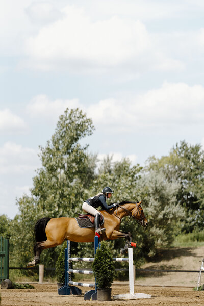 a bay horse with an english rider jumping a blue and white jump at an Ontario Trillium show captured by a equine private client photographer based in Ontario