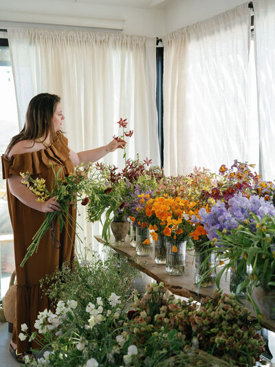 Nicole Arranging | Amphora Edu