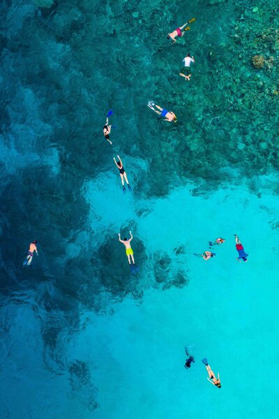 dream charter with people snorkeling in blue waters