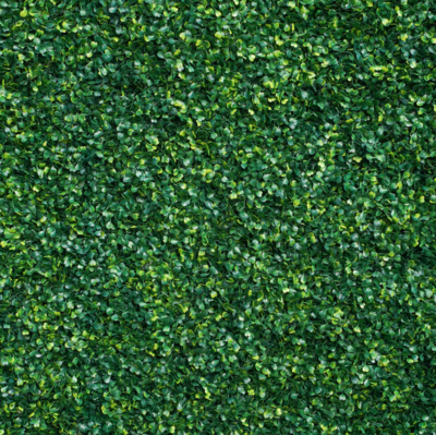 Green boxwood hedge photo booth backdrop