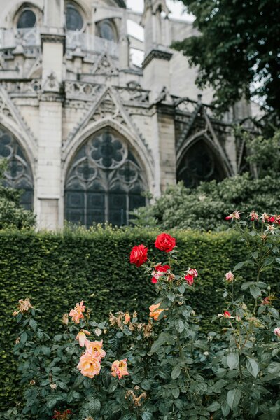 pexels-julia-volk-5273437 pexels-julia-volk-5273437