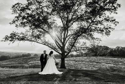 couple standing under tree